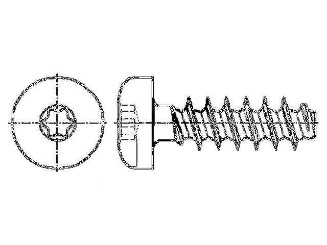 Schroef; voor kunststoffen; 3x16; Kop: cilinder; Torx® PLUS; 10IP Schroef; voor kunststoffen; 3x16; Kop: cilinder; Torx® PLUS; 10IP
